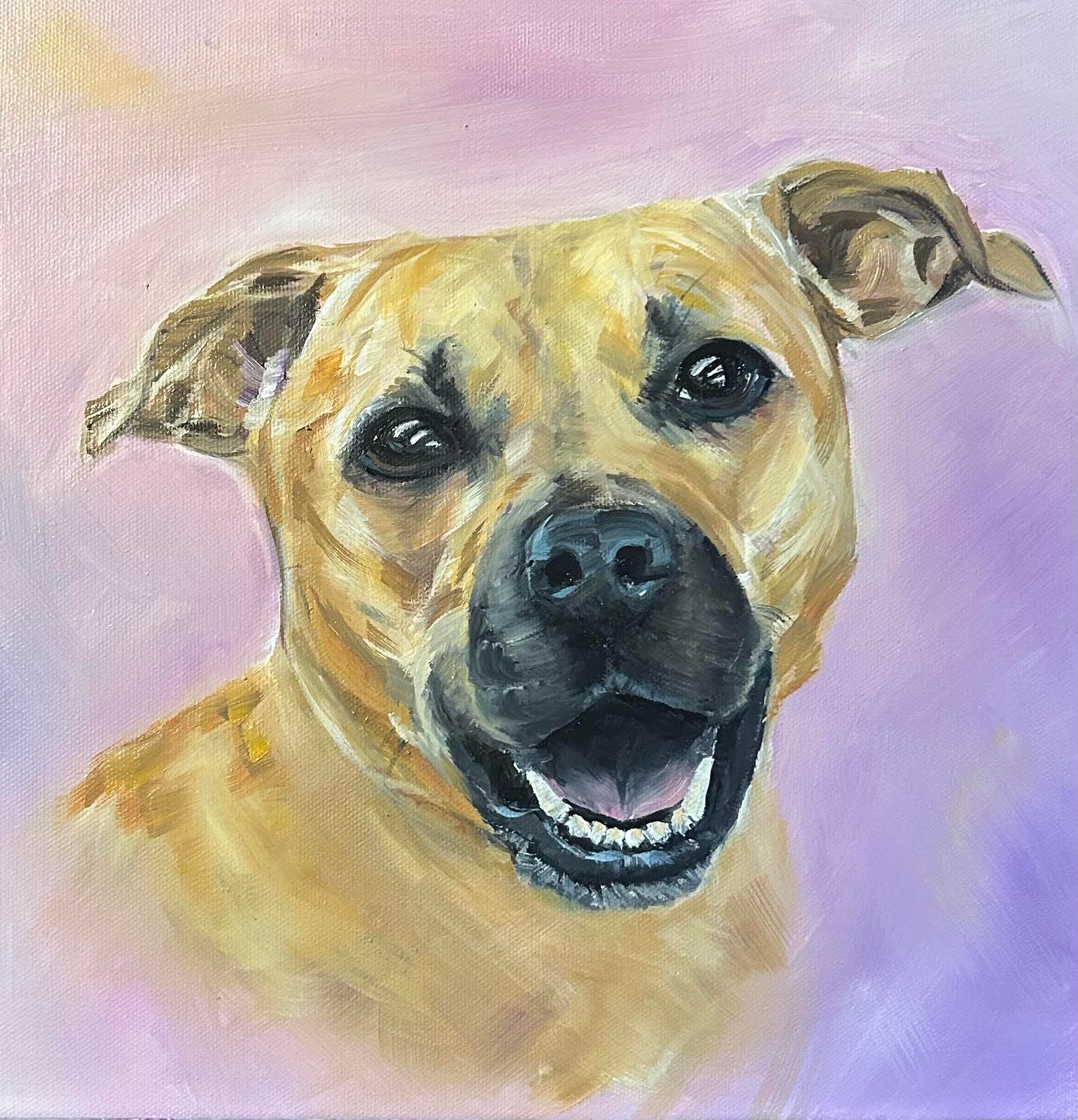 Custom Pet Portraits