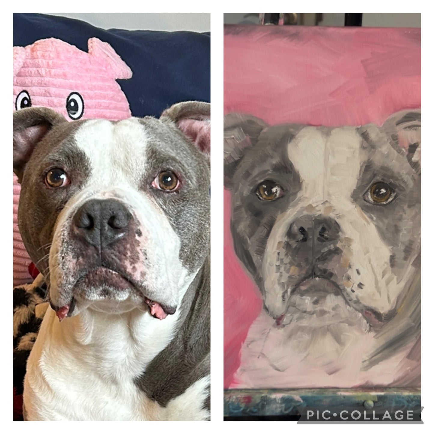 Custom Pet Portraits